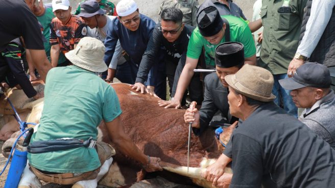 Bupati Bandung Salurkan Kurban Bantuan Presiden untuk Warga Terdampak Banjir Dayeuhkolot (dok).