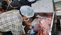 Bupati Bandung Tinjau Penyembelihan Kurban, Pastikan Daging Aman dan Halal (dok).