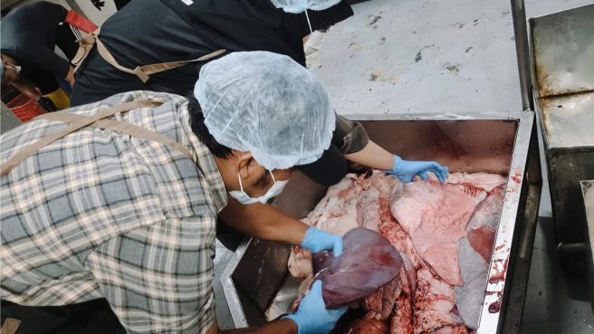 Bupati Bandung Tinjau Penyembelihan Kurban, Pastikan Daging Aman dan Halal (dok).