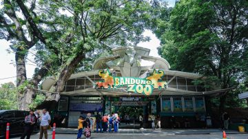 Resmi Fauna Land jadi Pengelola Baru Bandung Zoo, Pemkot Siapkan Tahapan Perizinan dan Transisi (dok).