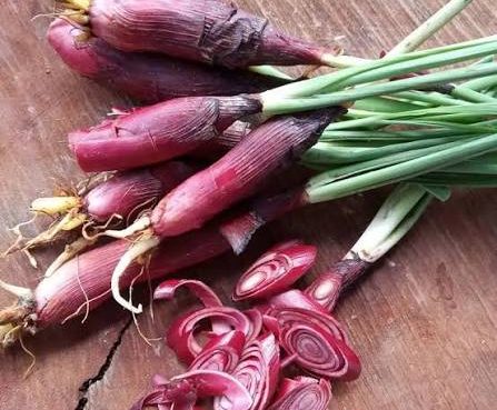 Manfaat Bawang Dayak untuk kesehatan (Orami).