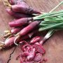 Manfaat Bawang Dayak untuk kesehatan (Orami).