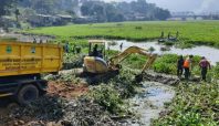 Pembersihan eceng gondok di wilayah waduk saguling (iNews).