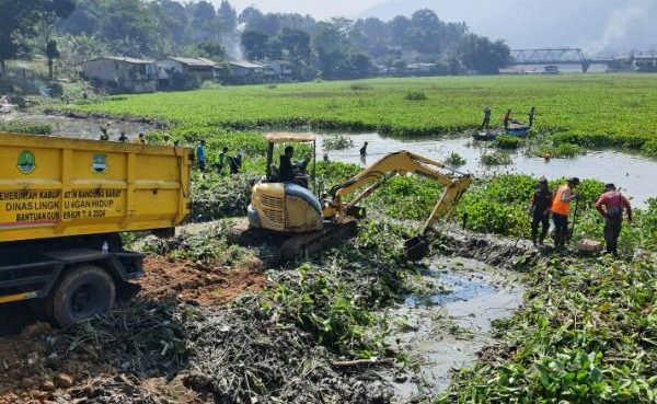Pembersihan eceng gondok di wilayah waduk saguling (iNews).