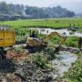 Pembersihan eceng gondok di wilayah waduk saguling (iNews).