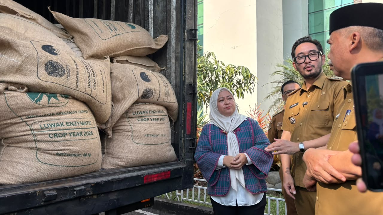 Java Halu