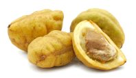 Namnam