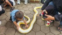 Kenal Lebih Dekat Peduli Lebih Banyak, Edukasi Reptil bagi Masyarakat (dok).