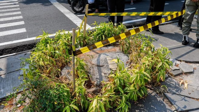 Terus Usut Kasus Penebangan 10 Pohon di Jalan Riau (dok).