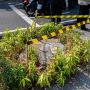 Terus Usut Kasus Penebangan 10 Pohon di Jalan Riau (dok).