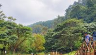 DE BRAGA BY ARTOTEL HADIRKAN THE URBAN NATURE RETREAT (dok).