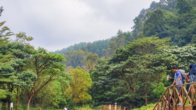 DE BRAGA BY ARTOTEL HADIRKAN THE URBAN NATURE RETREAT (dok).