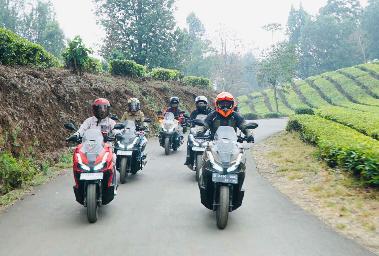 dok Honda