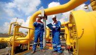 Perkuat Inovasi Transisi Energi, PGN Raih Platinum Award InTechSEA 2026 (dok).