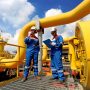 Perkuat Inovasi Transisi Energi, PGN Raih Platinum Award InTechSEA 2026 (dok).