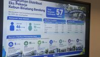 Eks Pegawai Kebun Binatang Bandung di Tempatkan di Pemkot Bandung (dok).